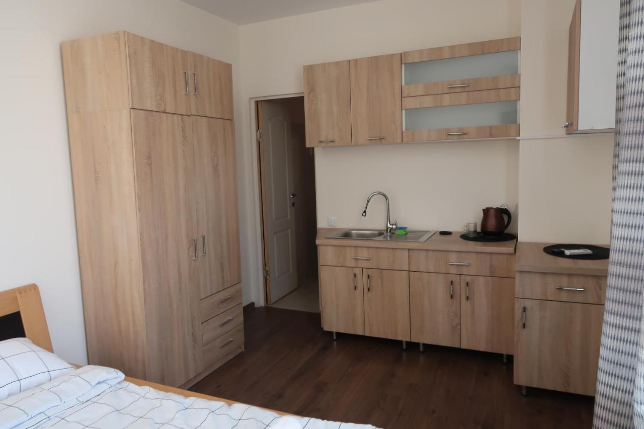 Апартаменти Downtown Studio III Тиргу-Муреш Екстер'єр фото