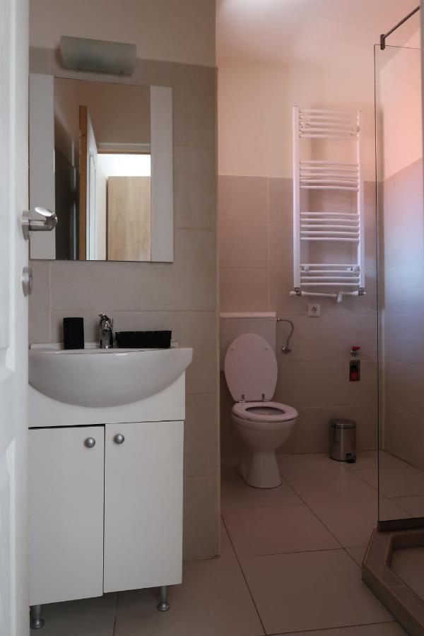 Апартаменти Downtown Studio III Тиргу-Муреш Екстер'єр фото